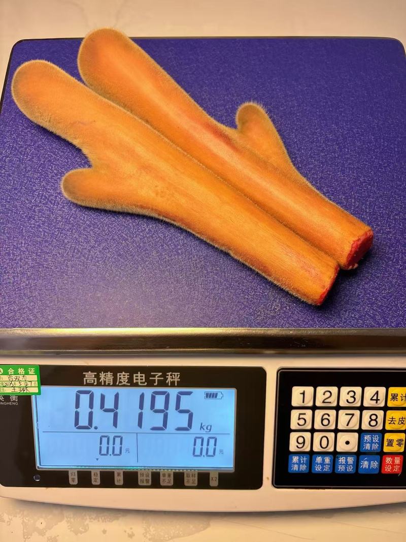 梅花鹿茸鹿场直发一手货源鹿场发货一件代发
