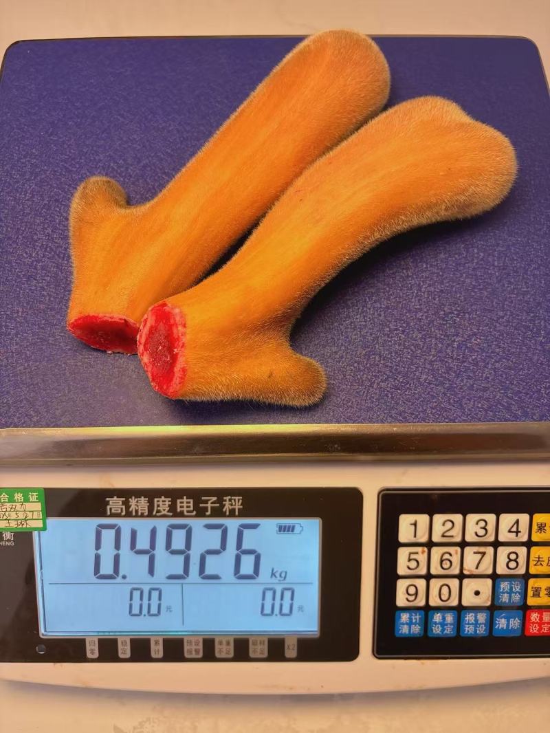梅花鹿茸鹿场直发一手货源鹿场发货一件代发