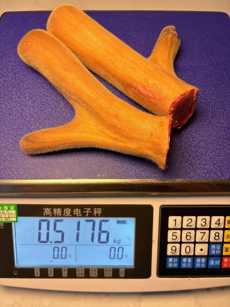 梅花鹿茸鹿场直发一手货源鹿场发货一件代发