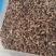 金沙牛中药材金砂牛虫无杂质正品去沙沙牛虫