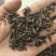 金沙牛中药材金砂牛虫无杂质正品去沙沙牛虫