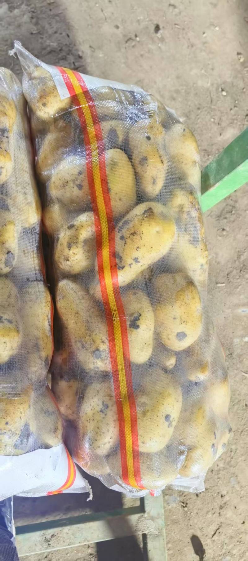 河南精品土豆，电商市场，各种规格都有