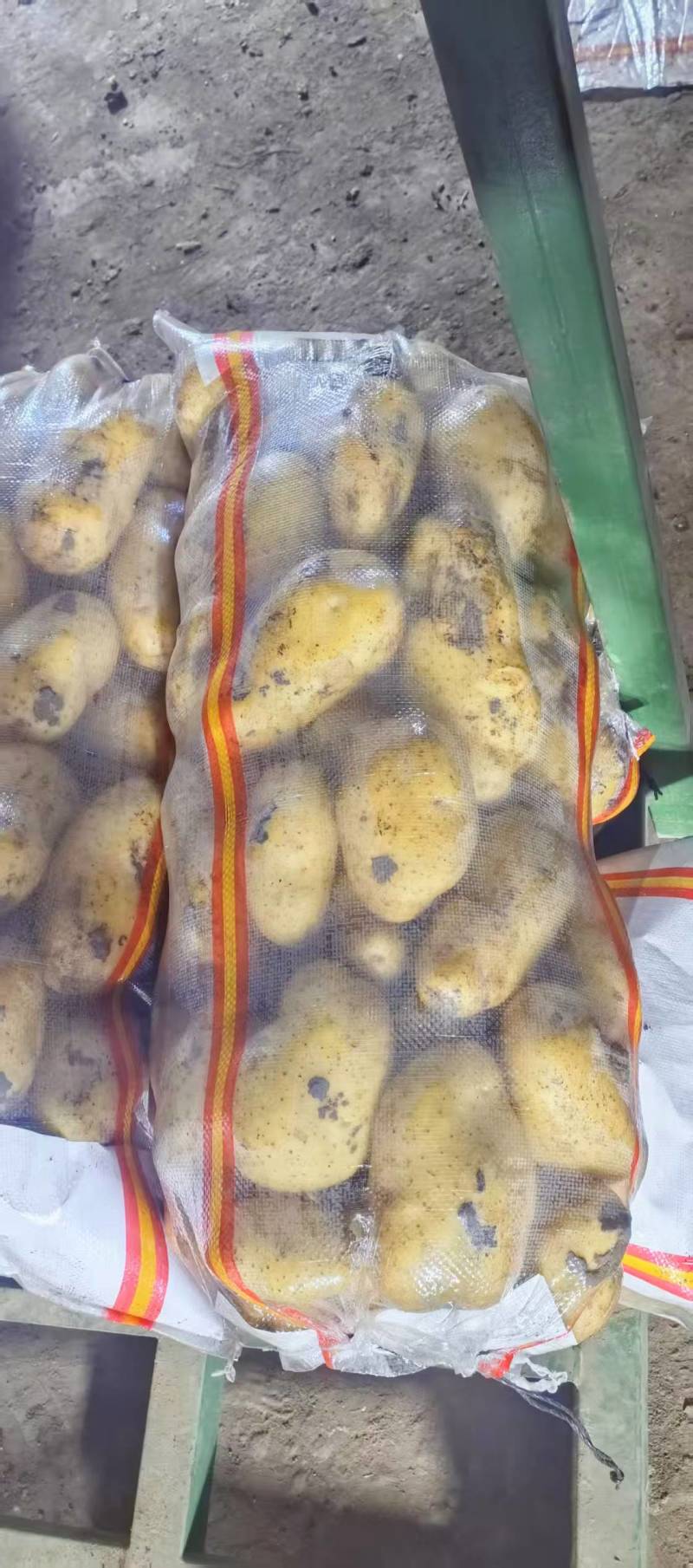 河南精品土豆，电商市场，各种规格都有