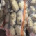 河南精品土豆，电商市场，各种规格都有