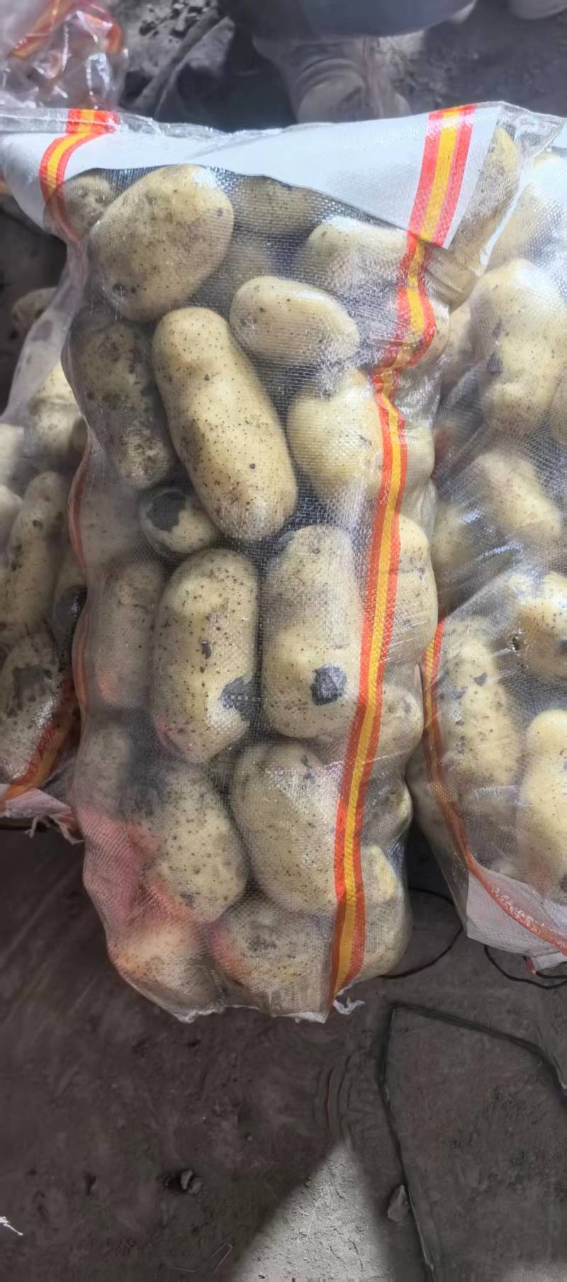 河南精品土豆，电商市场，各种规格都有