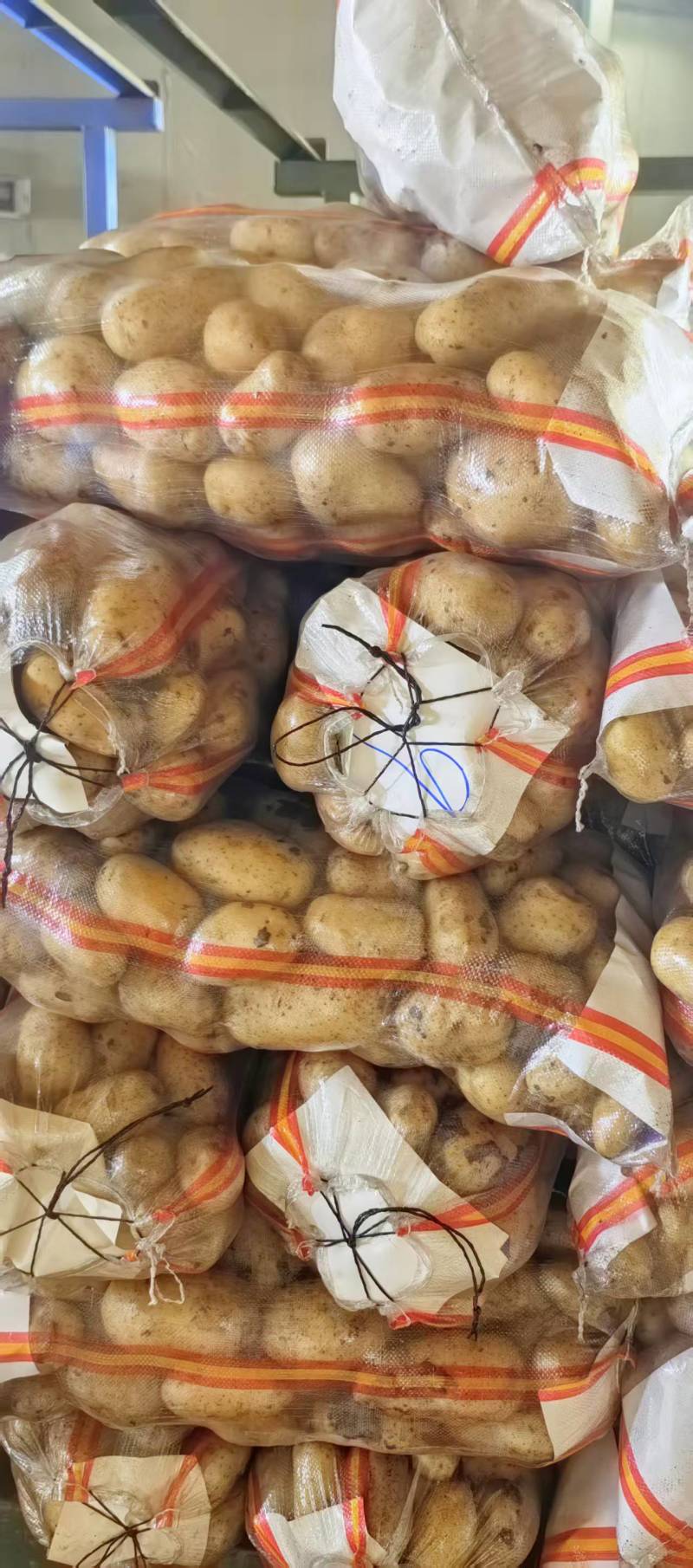 河南精品土豆，电商市场，各种规格都有