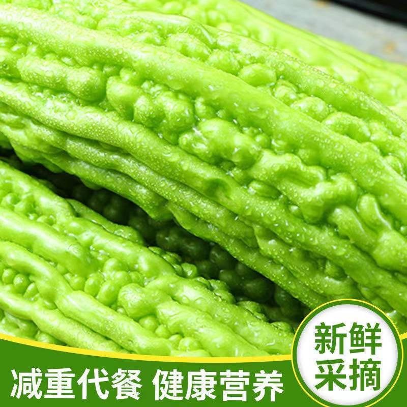 精品苦瓜，品质有保障，欢迎各位老板来电咨询