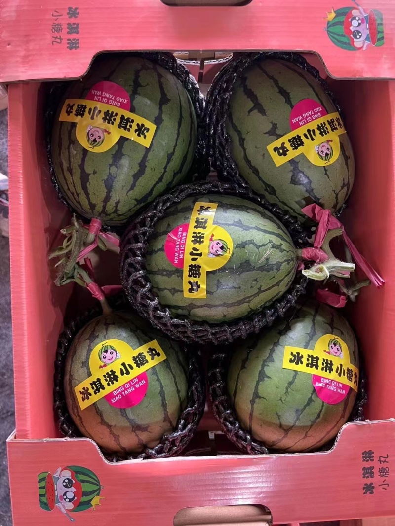 小糖丸西瓜，2k小糖丸吊瓜，口感独特，产地直发，