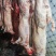 绵羊羊白条羊腔子羊酮体羊肉/诚信经营工厂直发