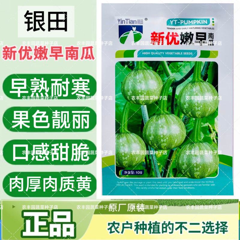 新优嫩早南瓜种子早熟耐寒肉厚肉质黄南瓜种子口感甜脆