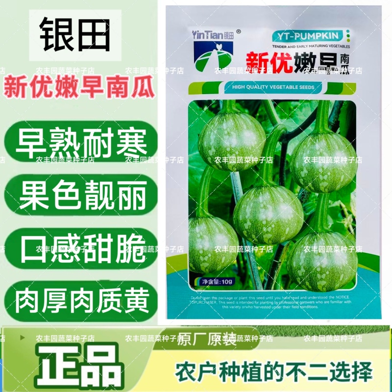 新优嫩早南瓜种子早熟耐寒肉厚肉质黄南瓜种子口感甜脆