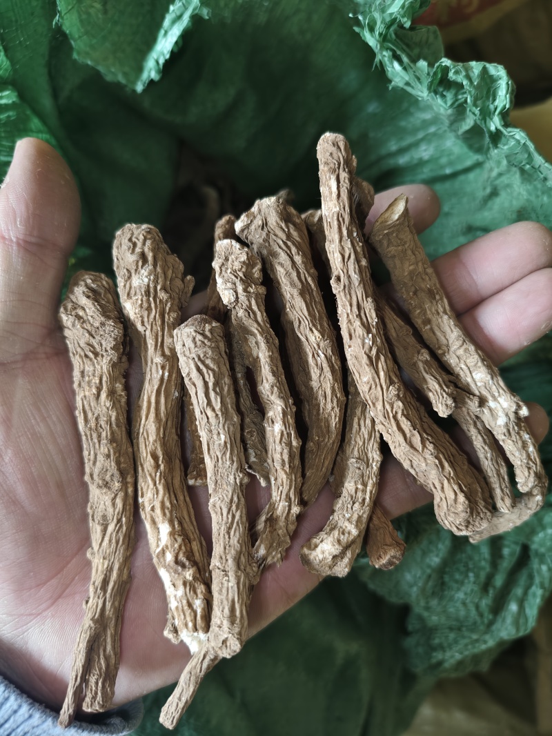 当归股子，高海拔云归