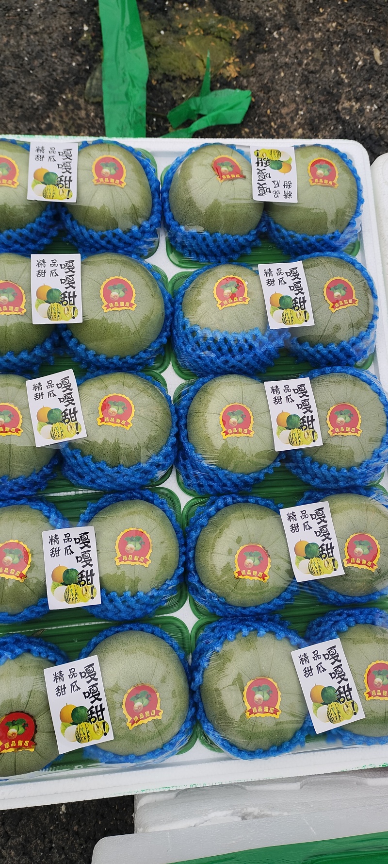 绿宝甜瓜等各种甜瓜大量上市品质好，规格全欢迎采购