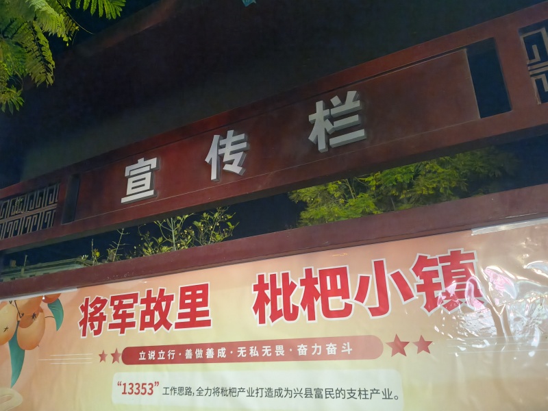 云南省昭通市永善县大兴镇大五星枇杷上市了