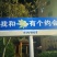 云南省昭通市永善县大兴镇大五星枇杷上市了