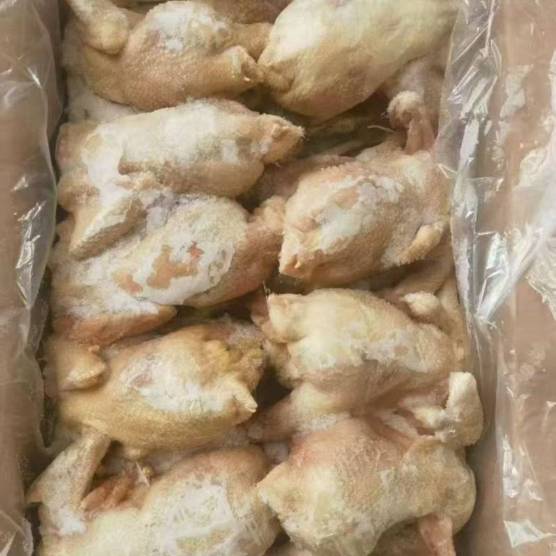 出售一级老母鸡