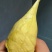 金枕榴莲一手批发价格，A果保5房，坏果包赔