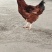 土鸡