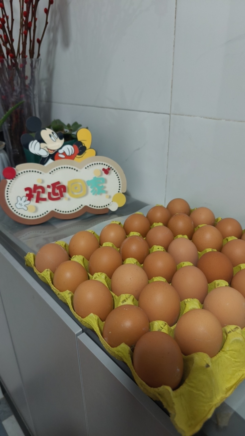 自家养殖场，谷物鸡蛋
