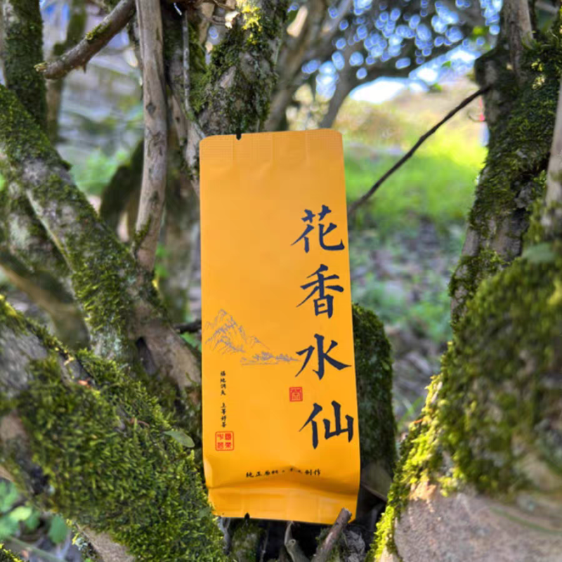福建武夷山岩茶肉桂水仙