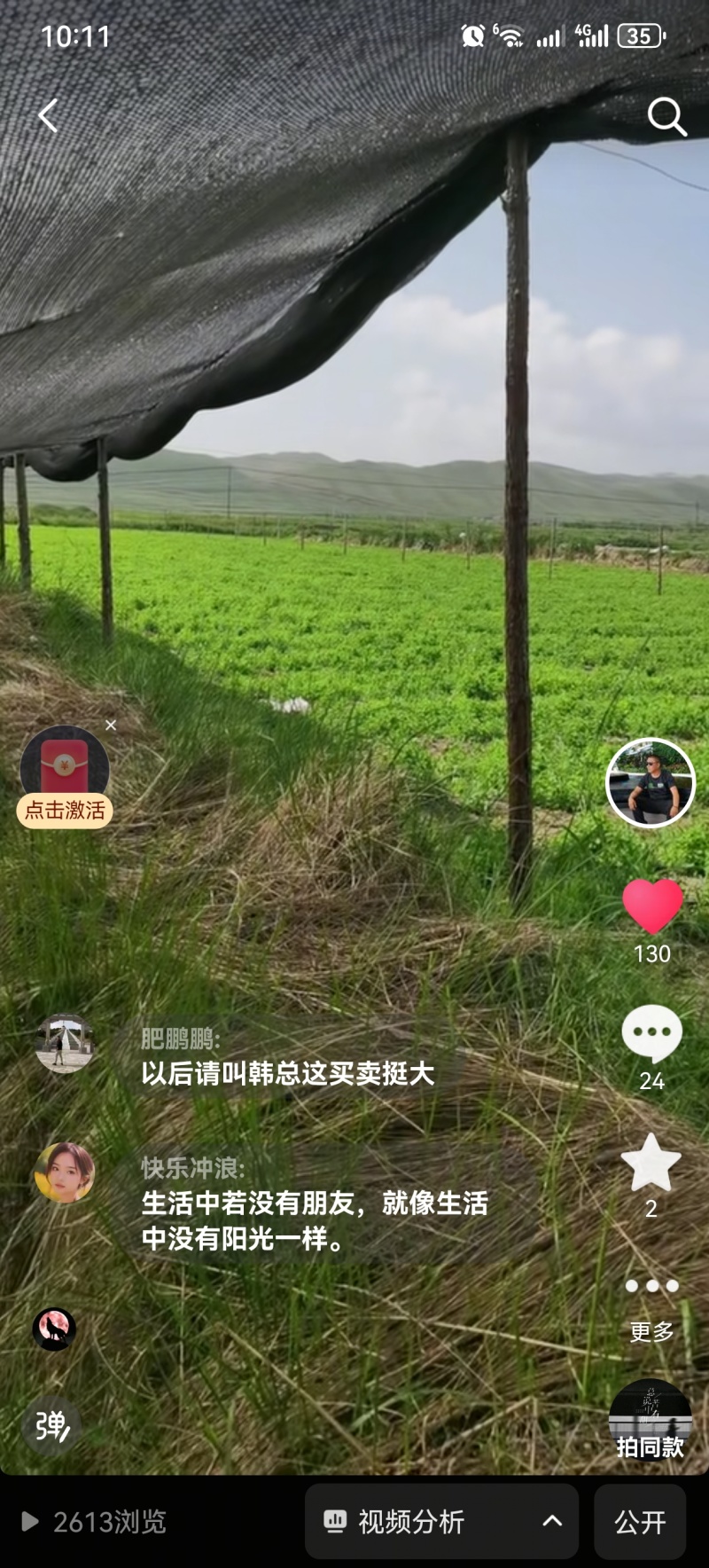 白条党参苗五亩