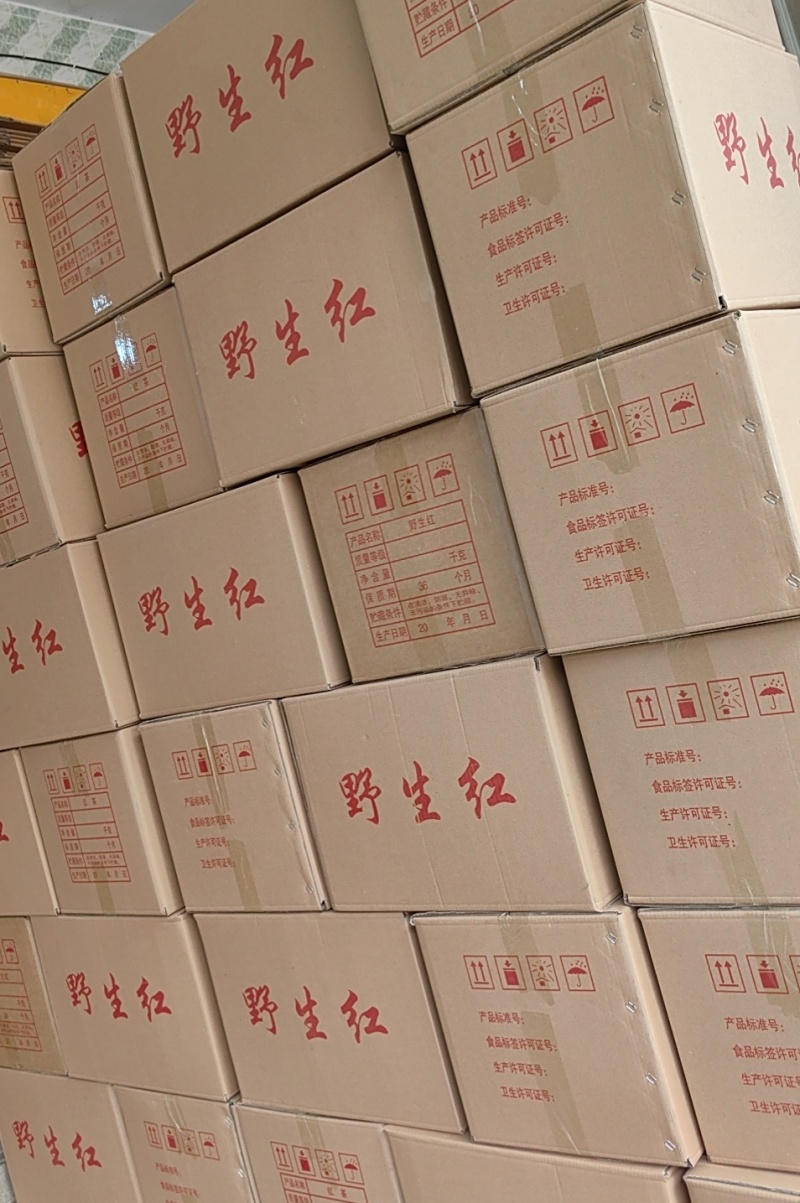 云南临沧野生红茶2026年春茶3吨自家茶可实地考察