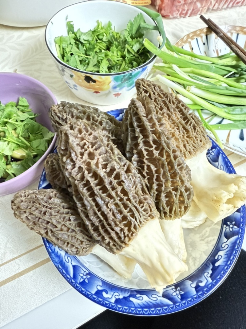 羊肚菌，自家大棚种植