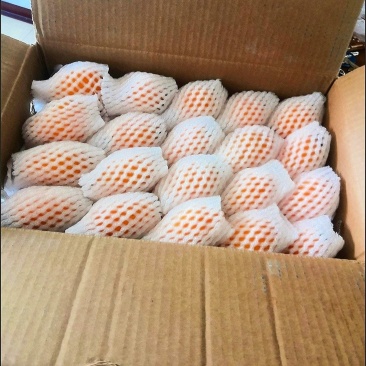 新鲜枇杷电商一件发货抖音～拼多多24小时内揽收发货