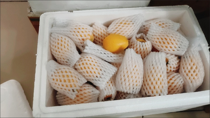 新鲜枇杷电商一件发货抖音～拼多多24小时内揽收发货