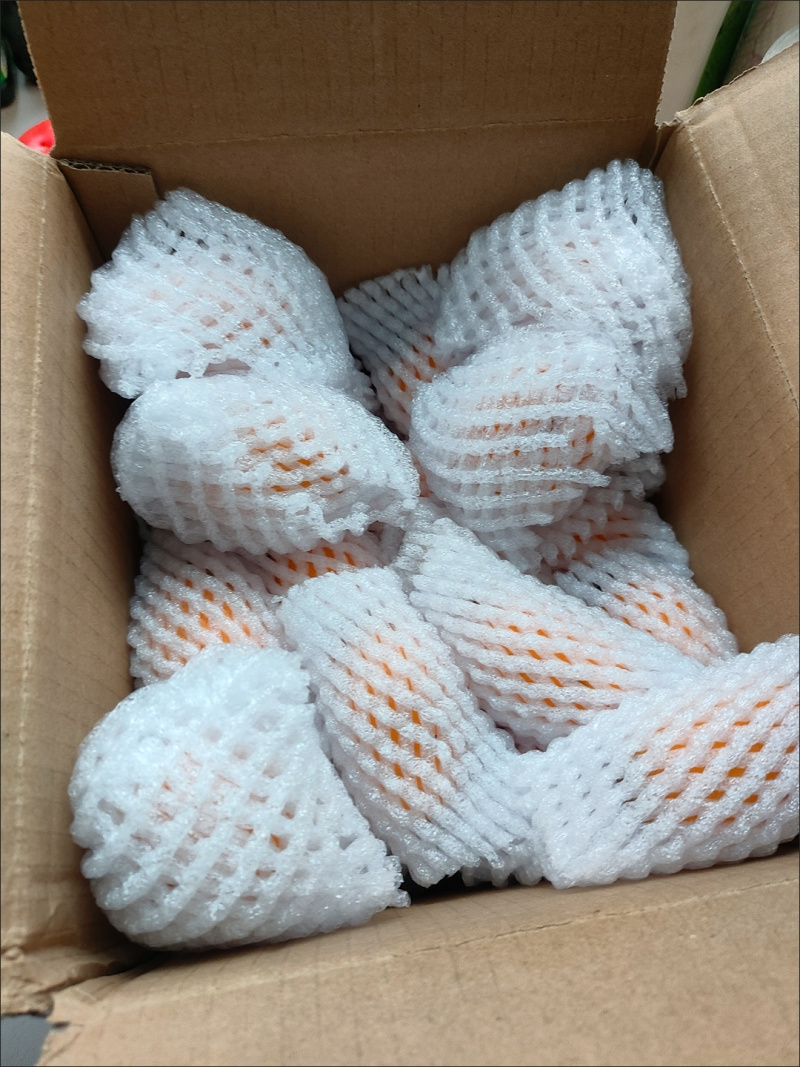 新鲜枇杷电商一件发货抖音～拼多多24小时内揽收发货