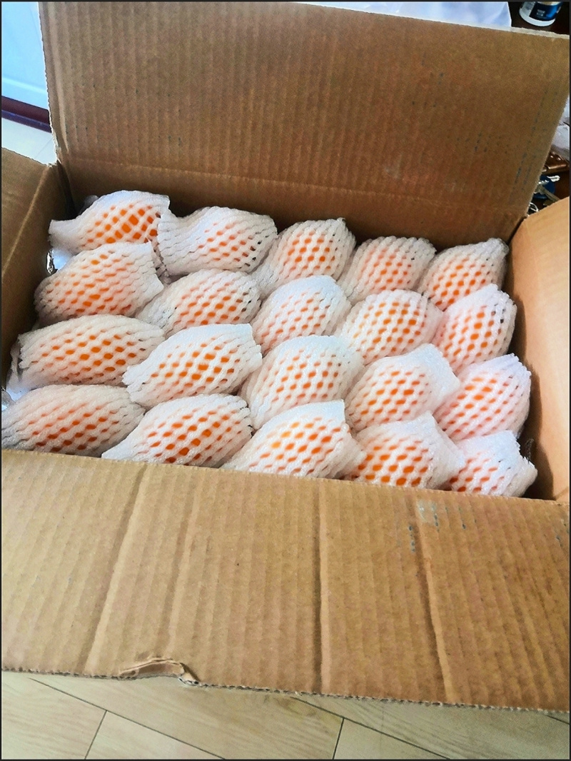 新鲜枇杷电商一件发货抖音～拼多多24小时内揽收发货