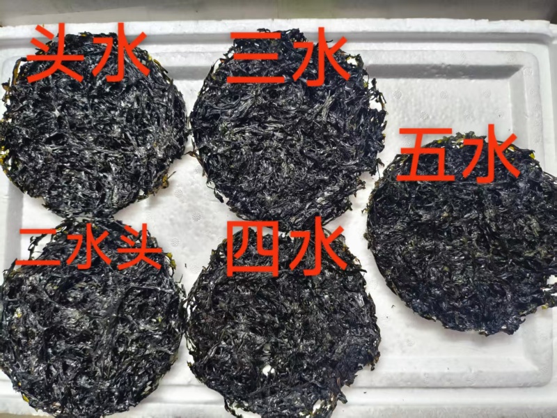 Ca特级龙海紫菜圆饼大碗三水四水五水优质好紫菜批发
