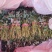 洛薯13红薯苗基地直发可视频看货欢迎来电采购洽谈对