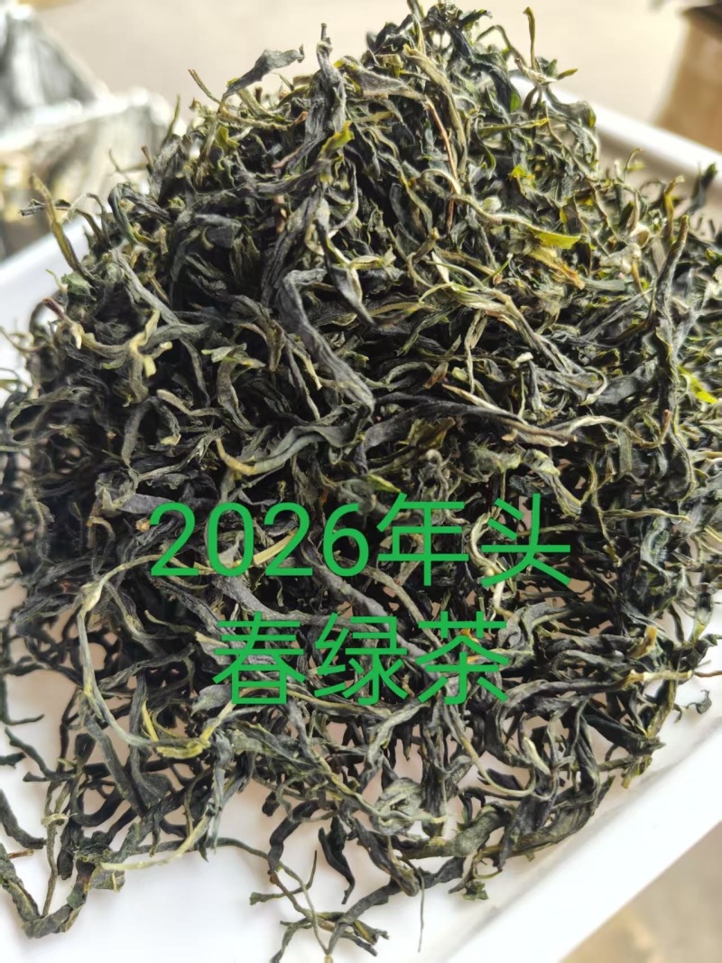 普洱绿茶2026年新茶香回甘好耐泡