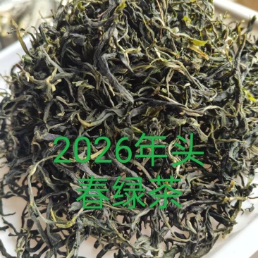 普洱绿茶2026年新茶香回甘好耐泡