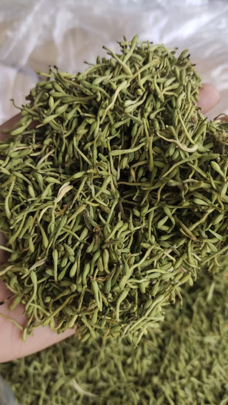精品金银花产地一手货源全国发货量大价优欢迎随时联系