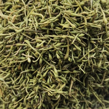 精品金银花产地一手货源全国发货量大价优欢迎随时联系