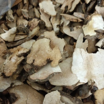 广西贺州野生土茯苓手工切片，白肉粉质，无熏硫