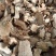 广西贺州野生土茯苓手工切片，白肉粉质，无熏硫