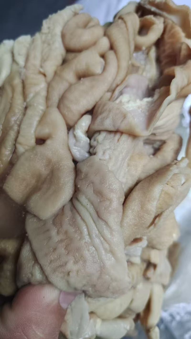 牛小肠
