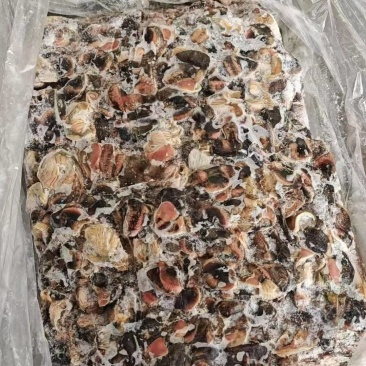 饲料带肚乌鸡胗3吨