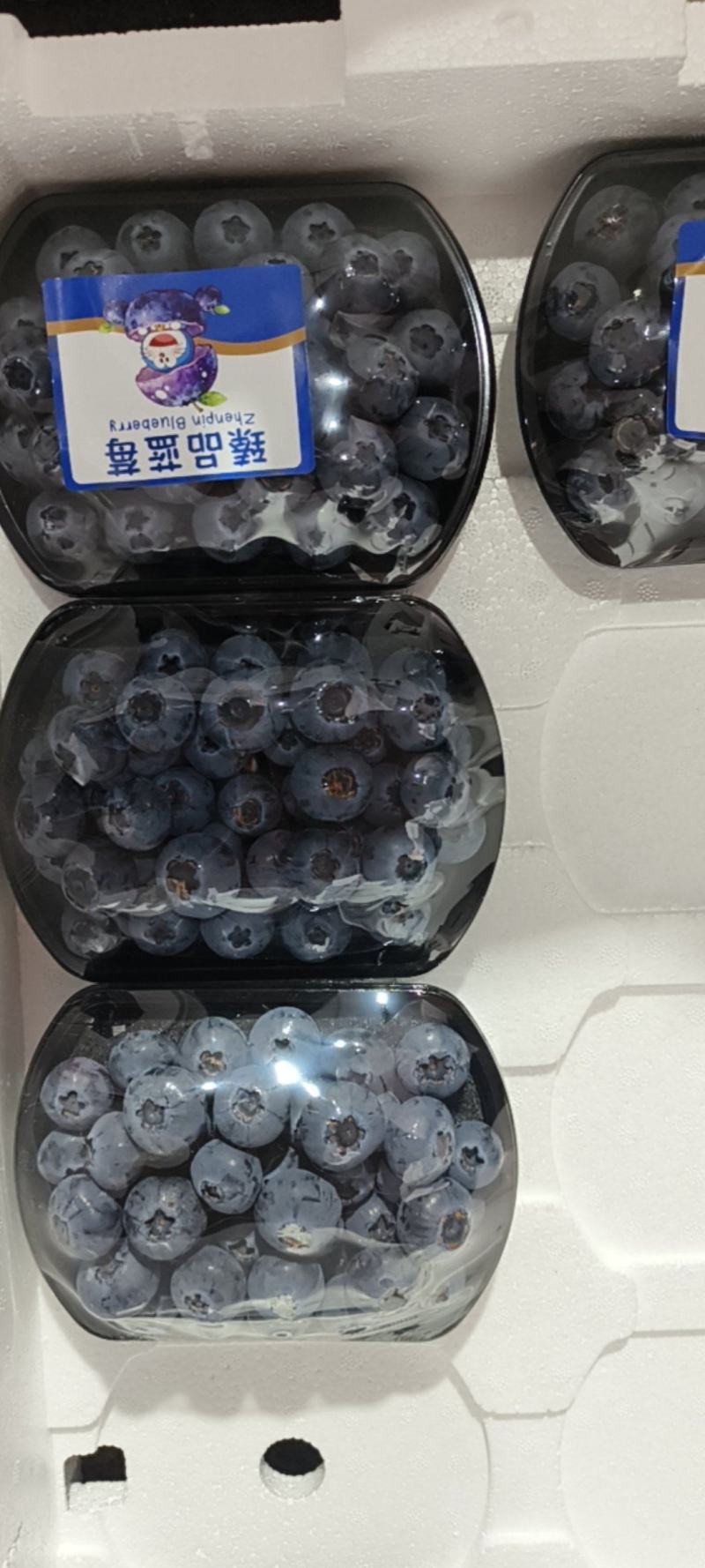山东蓝莓基地大量供应甜口支持电商。。。。