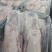 18公斤半净膛仔鹅5只装10吨