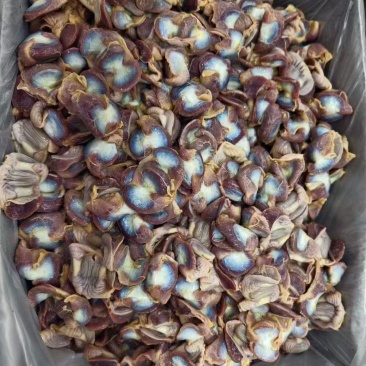 老母鸡板冻鸡胗10吨