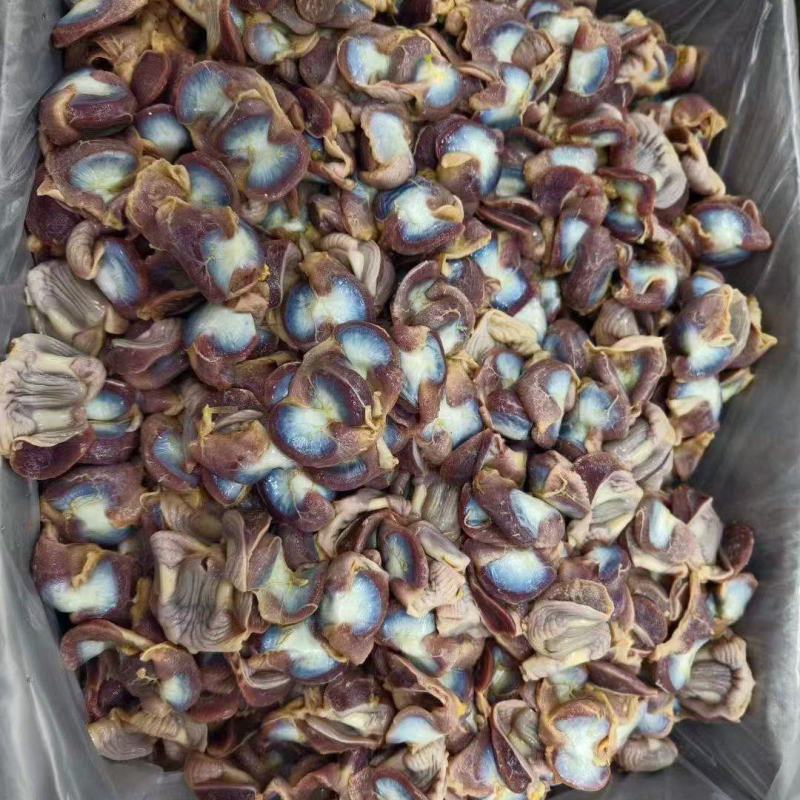 老母鸡板冻鸡胗10吨