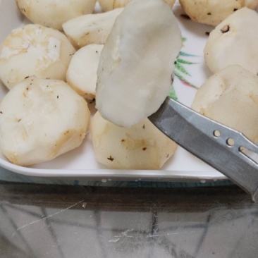 广西马蹄