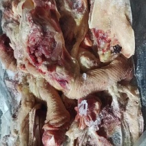 厂家种鸡全架