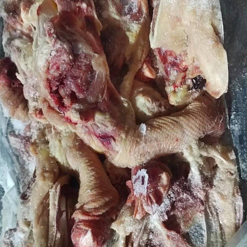 厂家种鸡全架