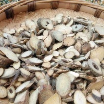 贵州野生飞龙掌血见血飞根片500克