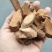 贵州野生钩藤根金钩莲根